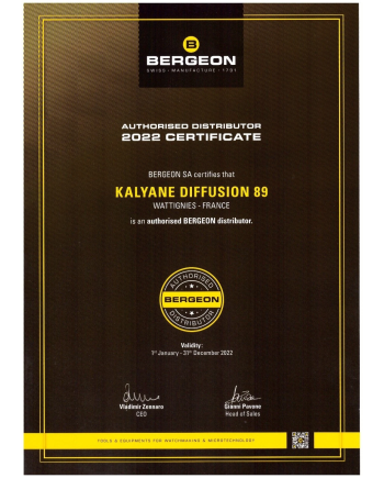 BERGEON 7010 - Cheville en polyamide renforcé pointue et plate Ø 5 mm