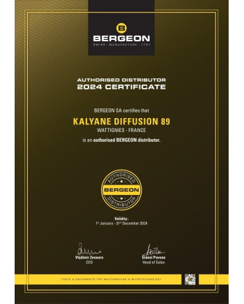 BERGEON 1907 - Enclume en acier avec 15 trous et 4 fentes