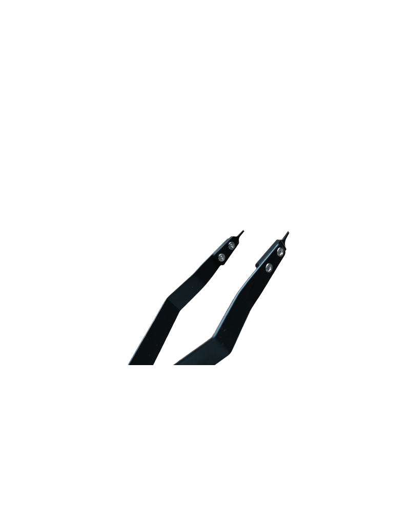 AUGUSTA - Brucelles aux barrettes