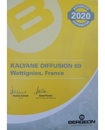 BERGEON 7817 - Mallette d'outils pour rhabillage et SAV