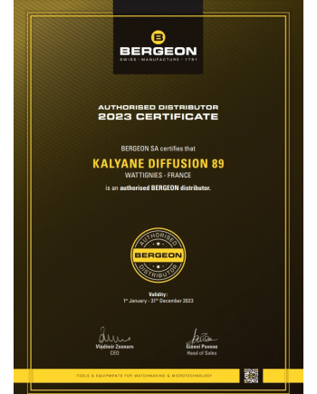 BERGEON 5860 - Mandrin double à tête hexagonale