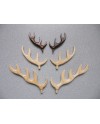 "Bois de cerf" en bois, plat