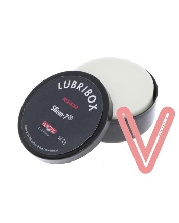 HOROTEC 28.000 - Boîte LUBRIBOX avec graisse Silicon-7®