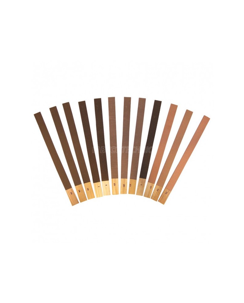 BECO TECHNIC 213200 - Assortiment de 12 cabrons d’émeri type spatule