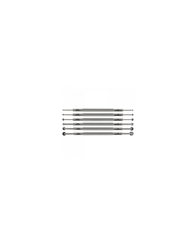 BERGEON 1895-P06 - Assortiment de 6 fraises à roulettes doubles