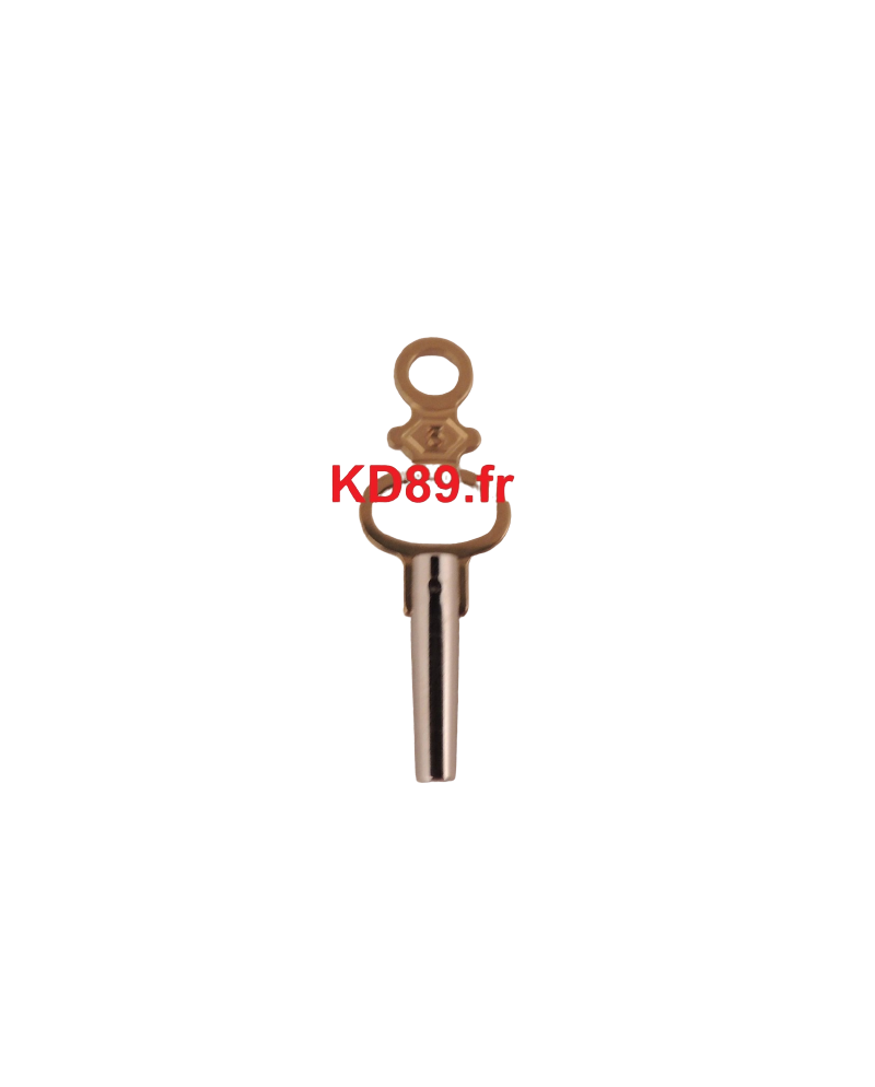 Clé de montre de poche